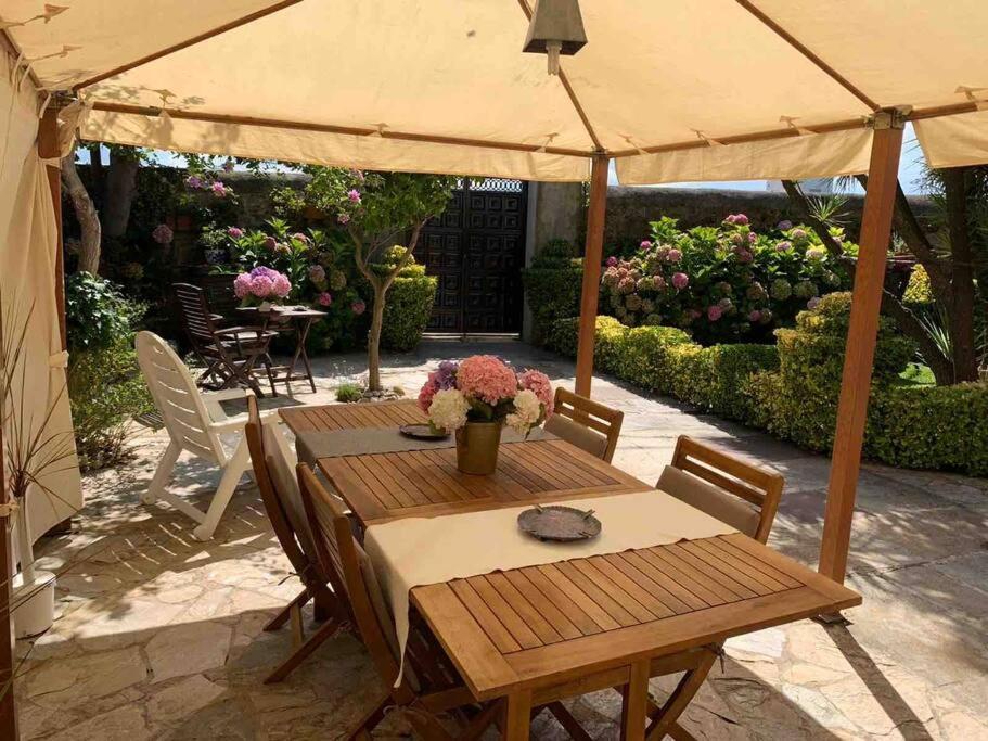Apartamento Con Jardin Santander Ngoại thất bức ảnh