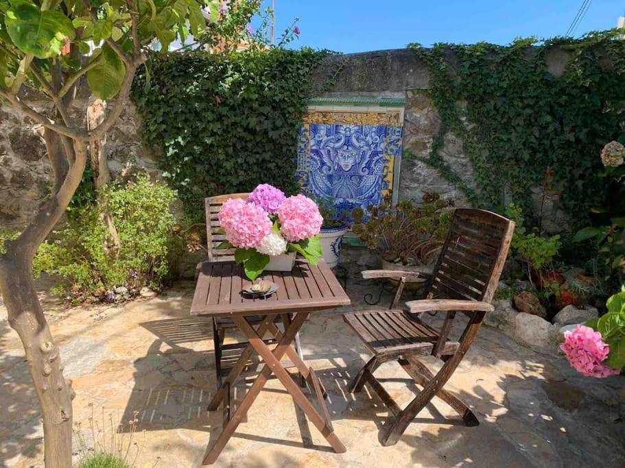 Apartamento Con Jardin Santander Ngoại thất bức ảnh